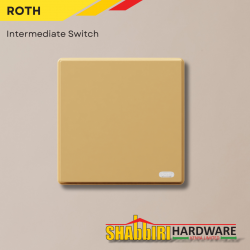 Modern Intermediate Switch - Gold