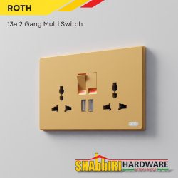MODERN TWIN SOCKET WITH USB - GOLD