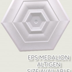 MEDALLIONS TM-06 ALTIGEN