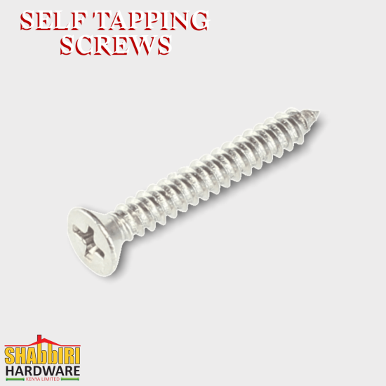 SELF TAPPING SCREWS 1*6