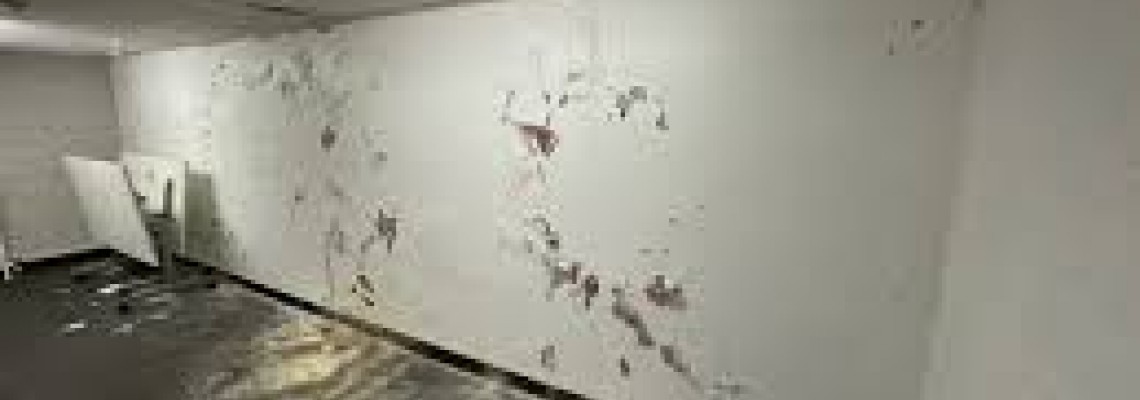 How to Prevent Mold & Damp with the Right Waterproofing Solution