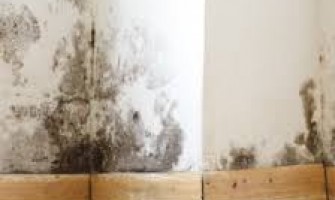 A Beginner’s Guide to Waterproofing Solutions: What You Need to Know